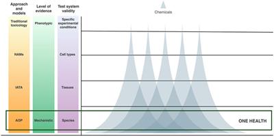 Expanding adverse outcome pathways towards one health models for nanosafety